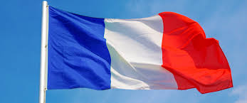 Image result for bandiere francesi