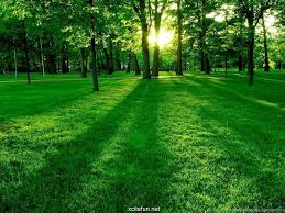 Maybe you would like to learn more about one of these? Best Nature Backgrounds Ever Desktop Background