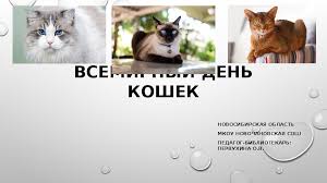8 августа 2021 года, воскресенье. Bibliotechnyj Chas Prezentaciya Vsemirnyj Den Koshek