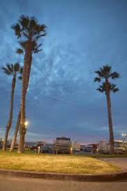 Maybe you would like to learn more about one of these? Rv Parks Near Niceville Florida