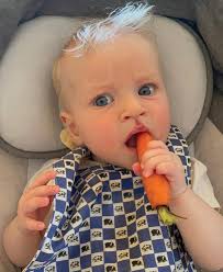 Organic Roots Summer 2021 by North Country School & Camp Treetops