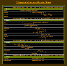 fly fishing montana hatch chart