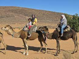 Unfortunately a lot of the camel and horse guys are slick salesmen and will start at ten times that much, it is up to you to bargain and agree on a price. Camel Riding