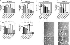 Mevalonate Cascade Inhibition by Simvastatin Induces the Intrinsic  Apoptosis Pathway via Depletion of Isoprenoids in Tumor Cells