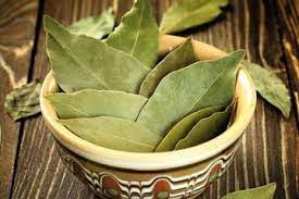Manfaat daun salam untuk kesehatan tanaman salam dikenal sebagai salah satu tanaman yang sering dimanfaatkan masyarakat untuk pengobatan alternatif. Manfaat Daun Salam Untuk Kesehatan Termasuk Untuk Diet Langsing Semua Halaman Intisari