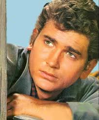 Joe again! He so photogenic 😻🎄🎁