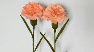 How To Make Carnation Flower From Crepe Paper Paper Flowers Carnation Flower Victorian Crafts