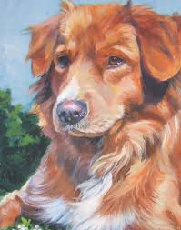 From wikimedia commons, the free media repository. Pin On Doggies
