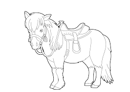 Kleurplaten Paard De Leukste Tekeningen Van Paarden