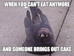 Pin By Wacko Wack On Funny Stuff Cute Animal Memes Funny Memes Make Me Laugh