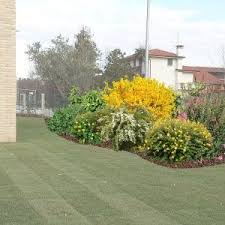 Aiuola Sempre Fiorita Fai Da Te Fioriture Per Tutto L Anno My Green Help Nel 2020 Aiuola Giardini Perenni Fiori