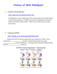 Point mutations are the most common type of mutation and there are two types. Dnai Webquest
