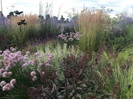 Edgewood Drive Austin Eischeid Garden Design Garden Design Garden Edgewood