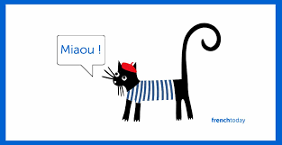 The alphablocks are 26 living letters who discover that whenever they hold hands and make a word, something magical happens. All About Cats In French