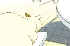 This also comes into play in a later scene, where in the cat kingdom, muta tells several of those gathered, that his name is also reynaldo moon (note. The Cat Returns Spoilers Summary Of My Experience Studio Ghibli Amino