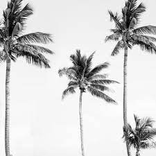 We did not find results for: Palm Tree Mural Wallpaper