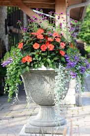 Maybe you would like to learn more about one of these? Ornate Concrete Mixed Planter Mixed Flower Pots Flower Planters Flower Pots