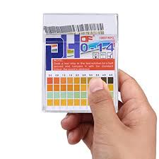 Ph Test Strips 0 14 0 5 Accuracy 100ct Esee Ph Strips Ph Test Paper To Test Drinking Water Food Pools Aquariums Monitor Body Ph Levels For
