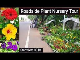 Nursery Tour Plant Price With Names Plant At Very Low Price Plants Ceramic Pot Clay Planter Youtube Menanam Pot Tanah Liat