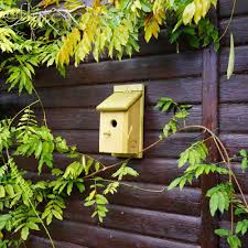 Image result for Flyte Blackbird Nest Box