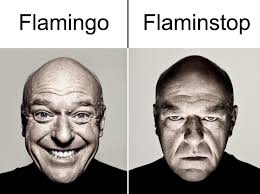 Breaking Bad Dean Norris Smiling Meme Template