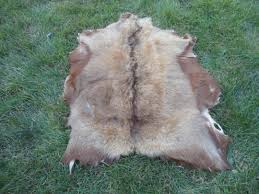Brown Goatskin Rug Soft Organic Bedridden Patient Rug 3 7 X 2 8 Ft Leather Fur Rug Goat Hide Skin Mohair Angora Animal G Animal Skin Rug Pet Brush Angora