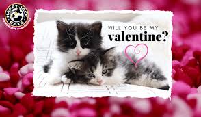 First and foremost, we should remember that love is beautiful in all ages, whether you are 7, 17 or 70. Happy Jack Cats Valentines Day Ecards