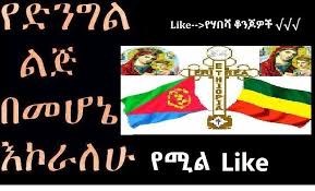 Muluneh, abraham haileamlak, fasil tessema, fessahaye alemseged, kifle. Addis Abeba Media Network á‹¨áˆƒá‰ áˆ» á‰†áŠ•áŒ†á‹Žá‰½ Type Amen Facebook