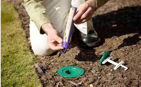 See more of delta termite & pest control, inc. Sentricon Termite Protection System By Delta Termite And Pest Control Inc In Waynesboro Ga Alignable