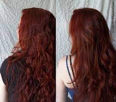 Muslim men dye their hair as well as beards with henna following the tradition of their prophet, mohammed. All Things Crafty Henna Hair Dye And A Couple Quick Tips Haare Rotbraun Farbe Fur Haare Henna Haare