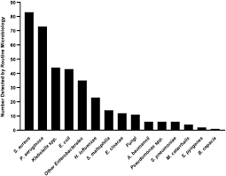 Copyright © 2021 | pcr tests. Multicentre Evaluation Of Two Multiplex Pcr Platforms For The Rapid Microbiological Investigation Of Nosocomial Pneumonia In Uk Icus The Inhale Wp1 Study Medrxiv