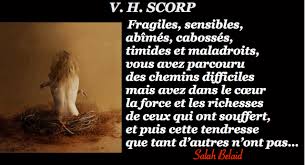 La Pensee Du Jour Fragiles Sensibles Abimes Cabosses Timides Et Pensee Du Jour Pensee Jour J