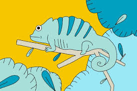 NYT Strands hints for November 14