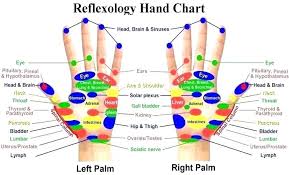 standard meridian acupuncture points chart and zhenjiu