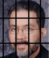 JungleWatch: IMAGINE, GUAM