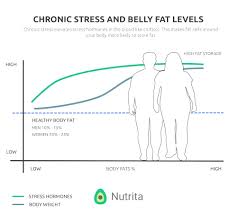 It can also be hard to follow. How Does A Keto Diet Affect Stress Hormones Nutrita