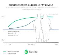 Researchers found that the liver has begun to resist insulin and the mice could. How Does A Keto Diet Affect Stress Hormones Nutrita