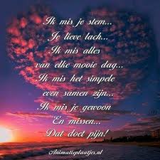 Ik Mis Je Verdriet Citaten Troostende Woorden Mooie Gedichten