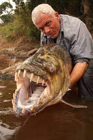 Man Eating Fresh Water River Monsters Jewel 92 Brantford S Lite Favourites