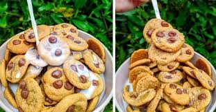 Non Vous N Etes Pas Gros Votre Ventre Est Juste Enfle Voici Comment Le Degonfler En 2020 Cookies Pepite Chocolat Cookies Et Biscuits Petit Dejeuner