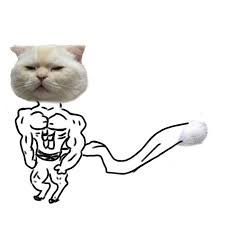 198 30 cat cat and mouse cute. Someone Asks People To Draw A Cat Using This Template And People Create The Wildest Illustrations Bored Panda