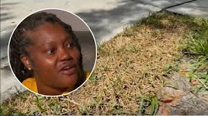 Staying safe while celebrating Independence Day