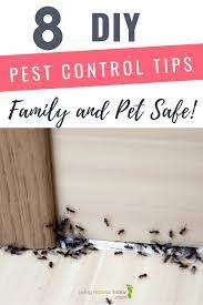 A knowledgeable and experienced technician will be able to answer all queries and even advice you on proper safeguards better safe than sorry — even if the pest control treatment in fort mill sc is earmarked as safe, it is always preferable to take. 8 Diy Pest Control Tips That Are Family And Pet Safe