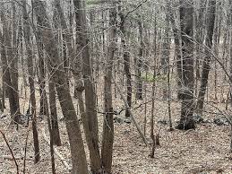 47 Stanley Rd, Cumberland, RI 02864