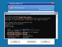 Type this command to check the bitlocker status: How To Reset Windows Password On Bitlocker Encrypted Drive