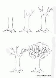 Colorear Como Dibujar Un Arbol 2 Arboles Dibujos A Lapiz Como Dibujar Arboles Como Dibujar Plantas