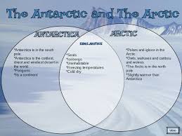 Difference Between Arctic And Antarctic Hope You Like It Please Leave A Antarctic Arctic Flashcards