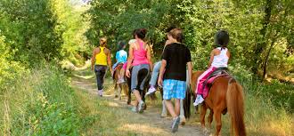 Camping das pinhiers/des pins villemoustaussou. Camping Carcassonne áƒ A L Ombre Des Oliviers Aude Pays Cathare