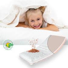 Wir erklären, auf was du beim kauf einer guten kindermatratze achten solltest. Kindermatratze Duos Mit Buchweizen Und Latex Antiallergene Matratz 89 00