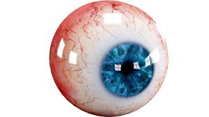 3d Realistic Human Eye Creature Human Eye Eyes Creatures
